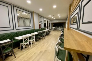 PROJEKT FÜR DIE RESTAURIERUNGSARBEITEN AN DEM GEBÄUDE DER STAATSOPER UND DES BALLETTS