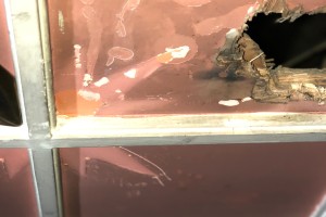 PROJEKT FÜR DIE RESTAURIERUNGSARBEITEN AN DEM GEBÄUDE DER STAATSOPER UND DES BALLETTS