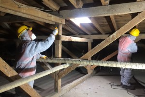 PROJEKT FÜR DIE RESTAURIERUNGSARBEITEN AN DEM GEBÄUDE DER STAATSOPER UND DES BALLETTS