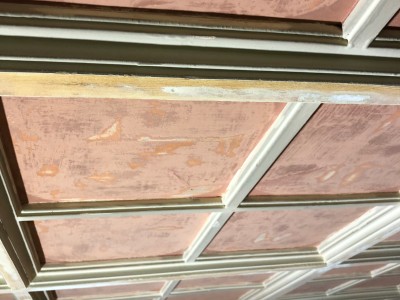 Projekt Für Die Restaurierungsarbeiten An Dem Gebäude Der Staatsoper Und Des Balletts